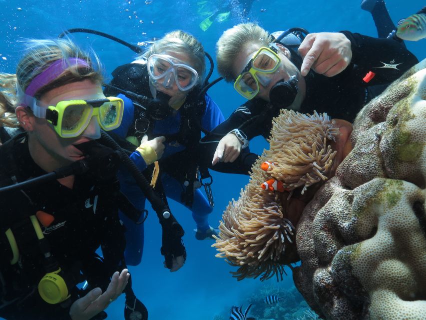 Port Douglas: Quicksilver Outer Barrier Reef Full-Day Cruise - Directions