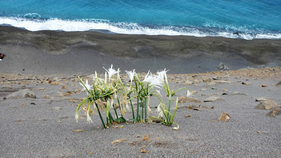 PREMIUM JEEP SAFARI IN SOUTH CRETE - Important Information