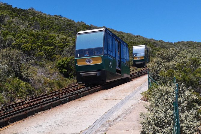 Private Cape Good Hope Cape Point Penguins From Stellenbosch. - Cancellation Policy