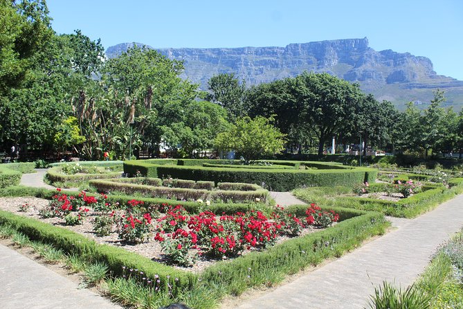 Private Cape Town City Tour Table Mountain Camps Bay Beach H/D - Booking Information