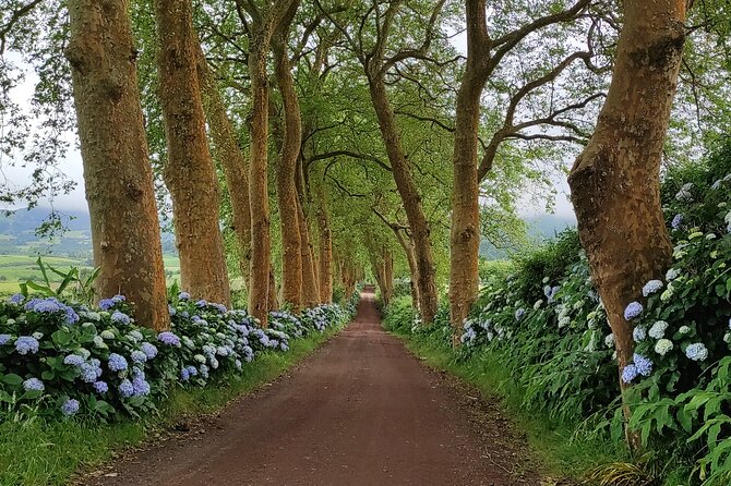 Private Jeep Tour in São Miguel Island - Traveler Photos