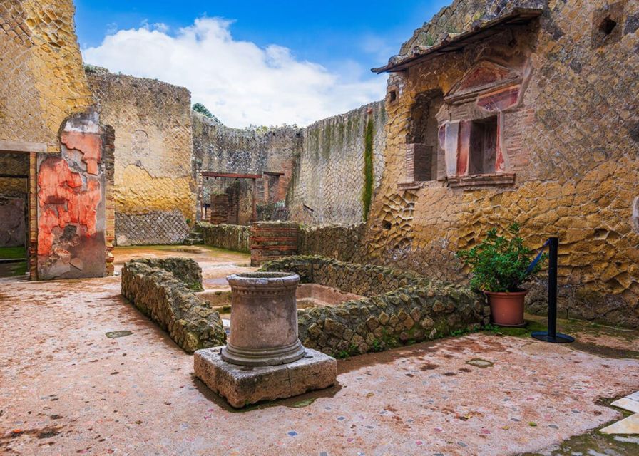 Private Tour Mt.Vesuvius&Herculaneum