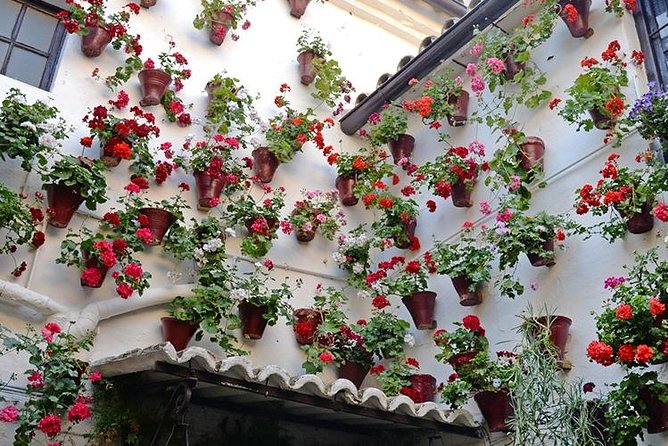 Private Tour: the Courtyards of Cordoba - Booking Confirmation and Accessibility