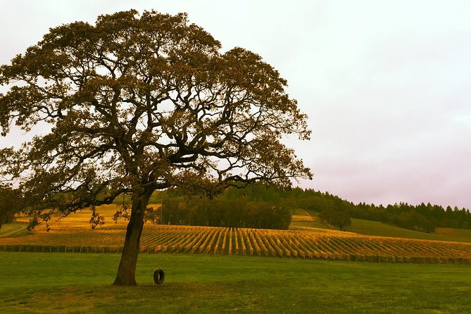 Private - Willamette Valley Wine Tour From Portland (Tasting Fees Included) - Common questions