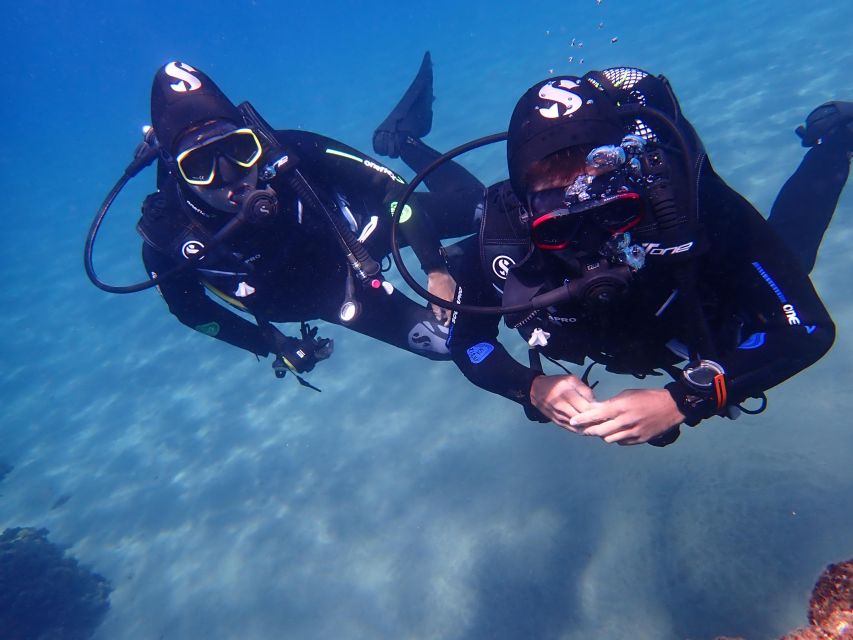 Puerto Del Carmen: Try Scuba Diving From the Beach - Customer Reviews and Tips