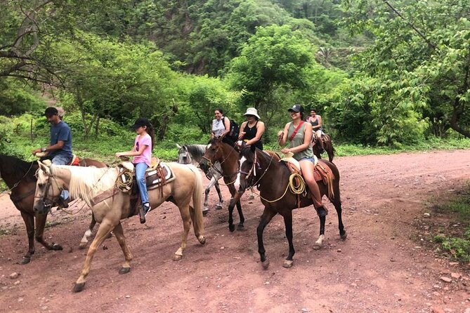 Puerto Vallarta Small-Group Horseback Riding Tour - Common questions