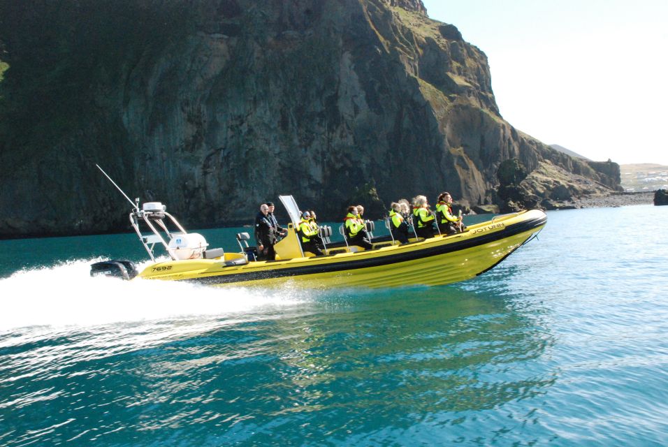 Reykjavik: Whale Watching by RIB Speedboat - Additional Information