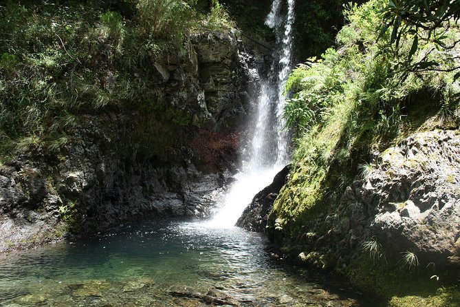 Ribeiro Frio to Portela Levada Walk - Common questions