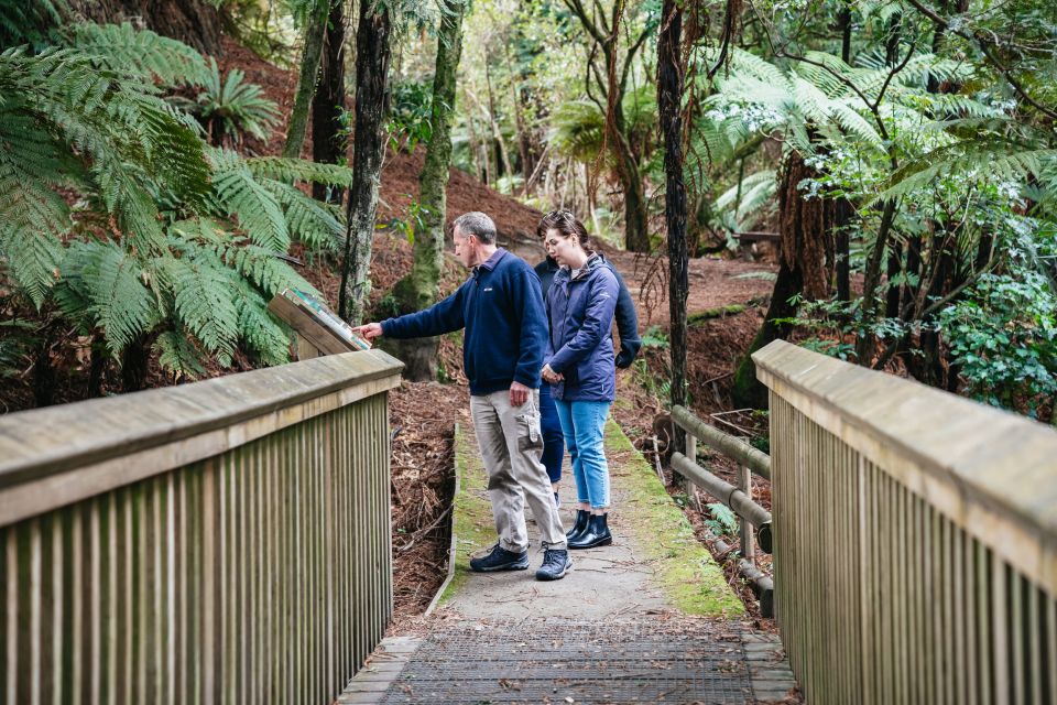 Rotorua: 'Off The Beaten Track' Geothermal Day Tour - Additional Information