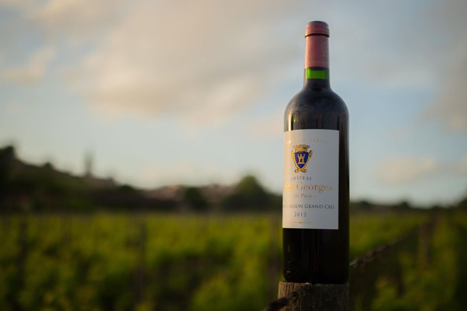 Saint-Émilion: Bordeaux Vineyard Tour and Wine Tasting - Customer Reviews