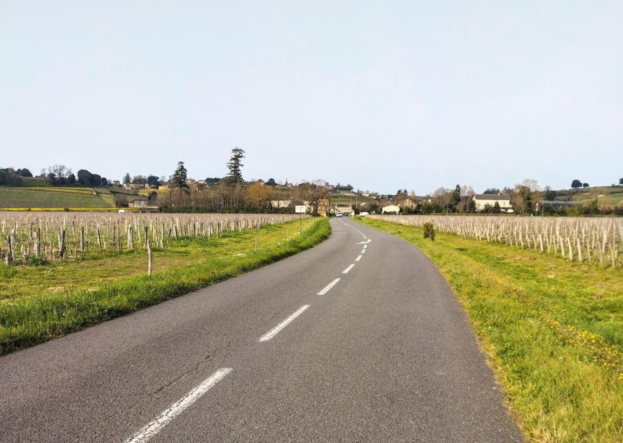 Saint-Émilion: Gravel Bike Tour, Wine Tasting & Picnic - Meeting Point and Route Details