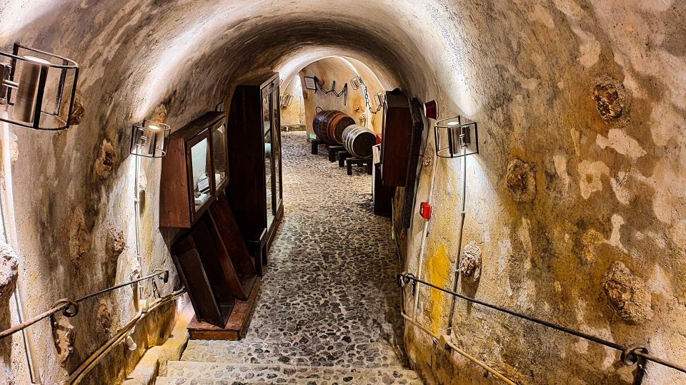 Santorini Visit Cave Wine Museum and Wine Tasting - Visitor Inclusions