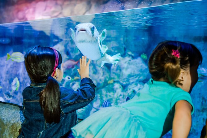 SEA LIFE San Antonio Admission Ticket - Lowest Price Guarantee