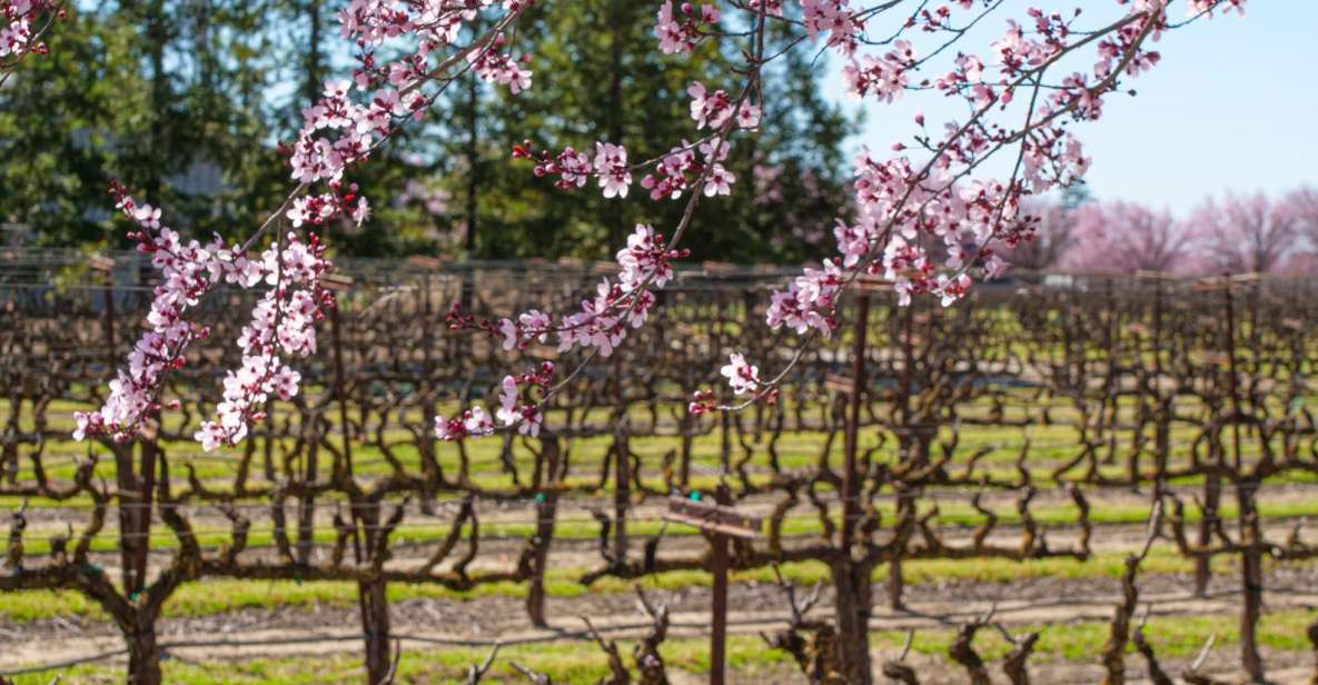 Self-Guided Wine Tasting Audio Tour - Lodi California - Participant Selection and Date