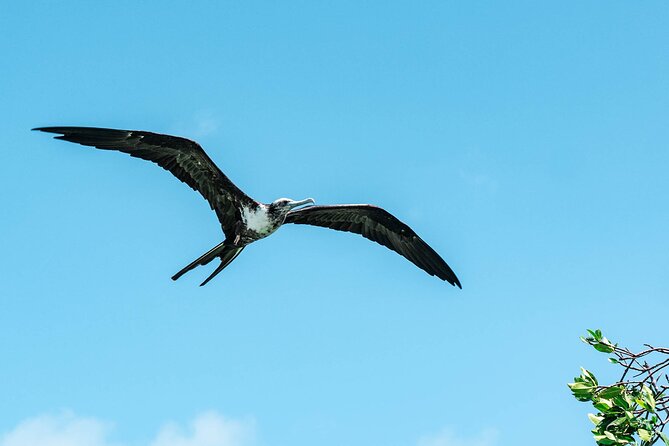 Sian Kaan Boat Tour: Full Day Experience - Departure and Return Details