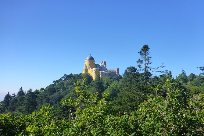 Sintra World Heritage and Cascais Village Tour - Review Insights