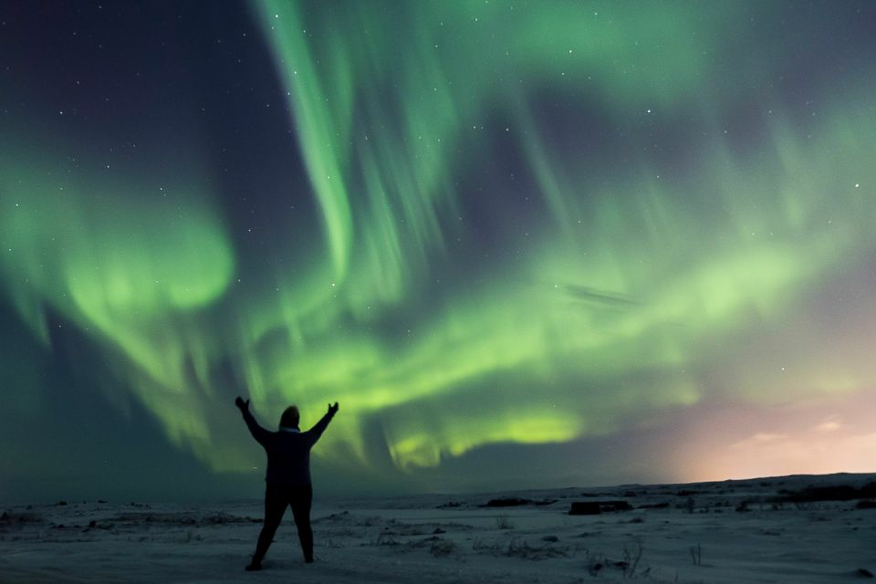 Small-Group Premium Northern Lights Tour From Reykjavik - Payment and Reservation Process