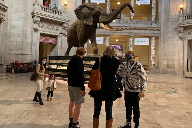 Smithsonian National Museum of Natural History With Guided Tour - Directions