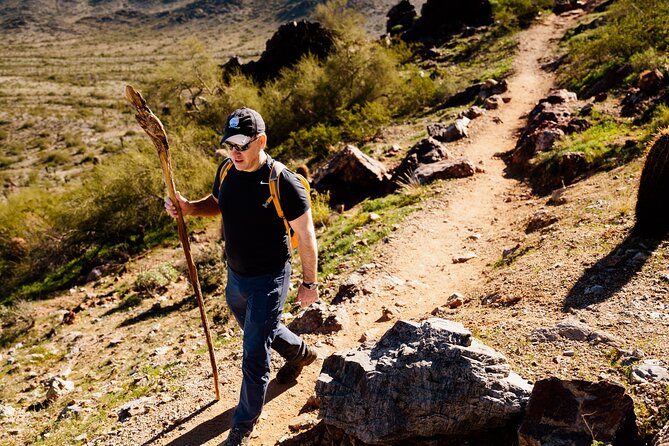 Sonoran Desert Private Hiking Adventure From Phoenix