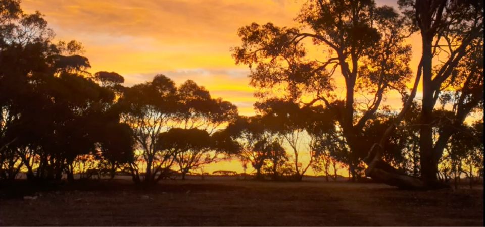 Stirling Range National Park Self Guided Driving Tour - Important Information