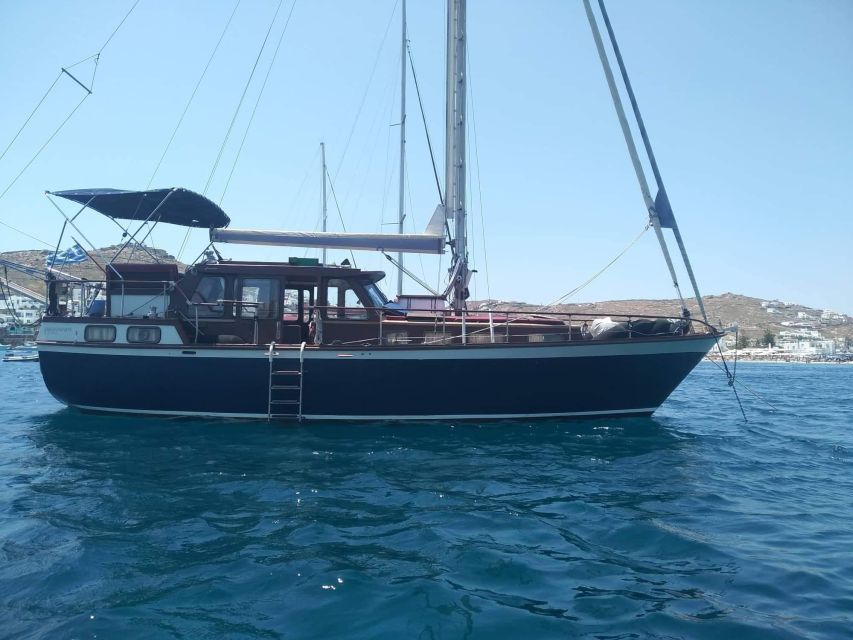 Syros Small-Group Boat Cruise With Swim Stops, Meal & Drinks - Customer Review