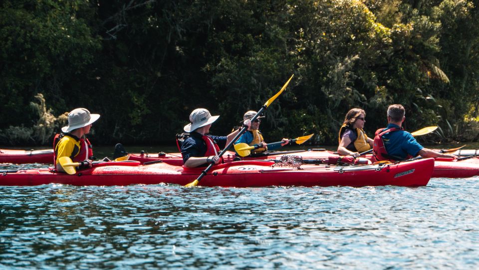 Tauranga: Scenic Lake Mclaren Kayak Tour - Last Words