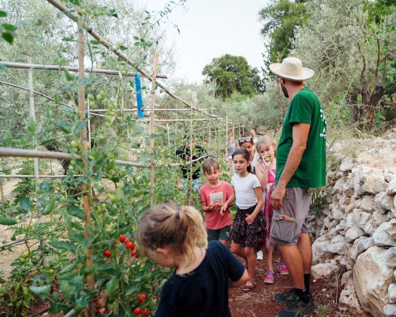 Traditional Greek Cooking Class @ Lefkada Micro Farm - Start the Day With Coffee