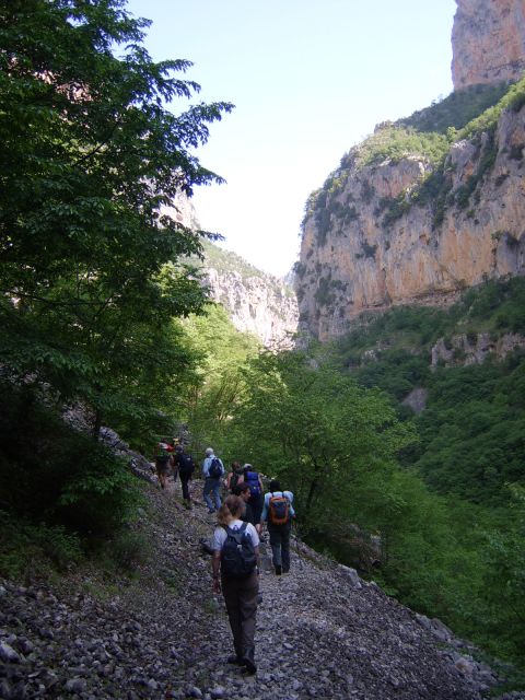 Vikos Gorge Full-Day Guided Hike - Full-Day Hike Itinerary