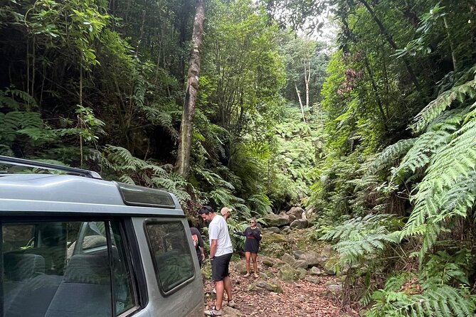 West Madeira Highlights Full Day - Up to 6 Private 4x4 Jeep - Cancellation Policy