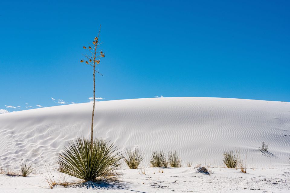 White Sands National Park: Audio Tour Guide - Tour Itinerary and Highlights