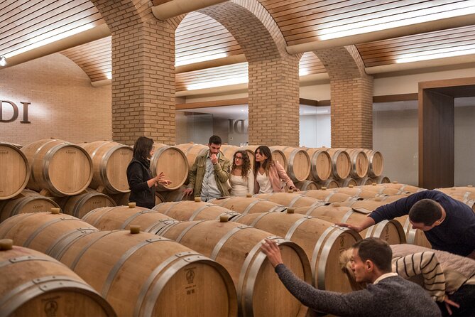 Wine Experience in the Romantic Town of Rioja - Meeting Local Wine Producers