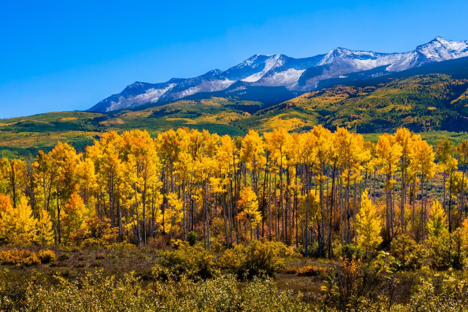 Yellowstone & Rocky Mountain: Self-Guided Driving Audio Tour - Full Description