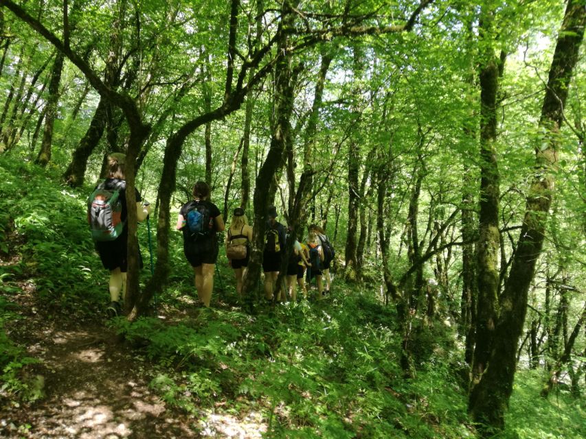 Zagori: Vikos Gorge Hike - Return Transfer and Hiking Essentials