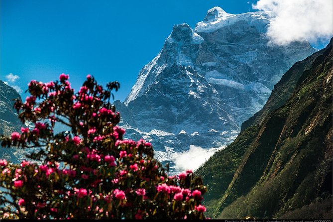 10 Days Everest Tengboche Monastery Trek - Common questions