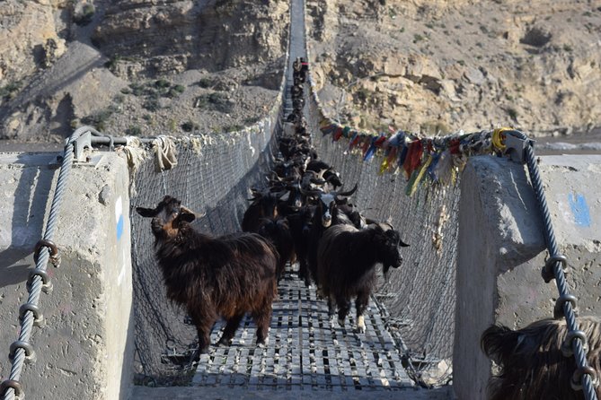 11 Night 12 Days Upper Mustang Trek - Permits and Entry Requirements