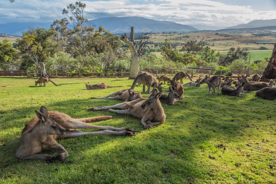 2 Days of Tasmanias Best - Itinerary