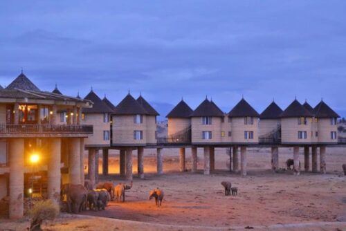 3 Days Safari to Saltlick Lodge From Nairobi - Park Entrance and Fees