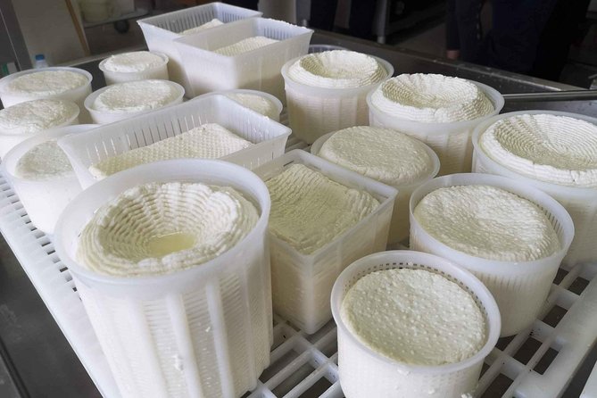 Abruzzo Cheese-Making Workshop  - Pescara - Common questions