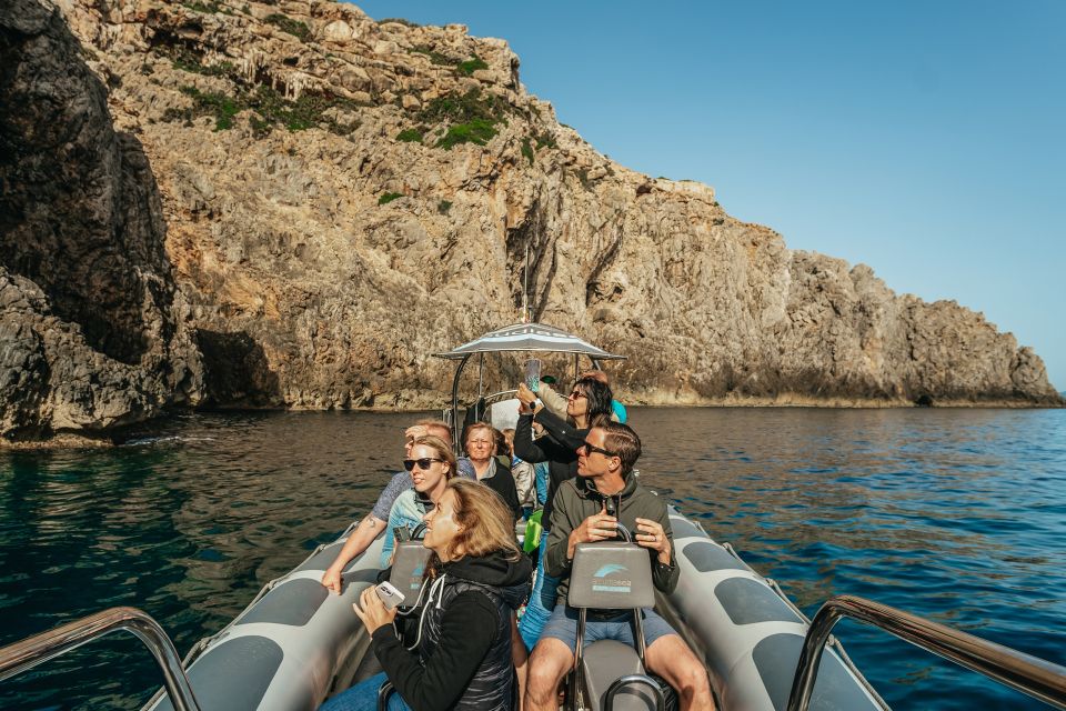 Alcudia/Can Picafort: Sunrise Dolphin-Watching Guided Cruise - Meeting Point Information