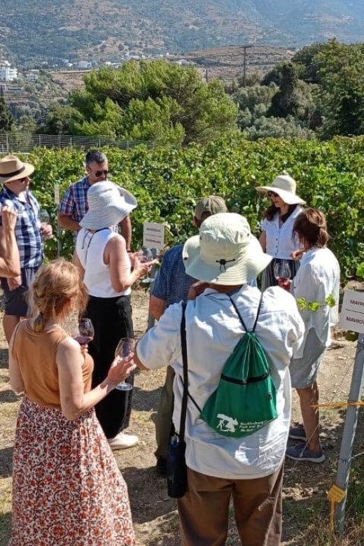 Andros Wine Tasting & Pythara Waterfalls Half-Day Tour - Customer Review