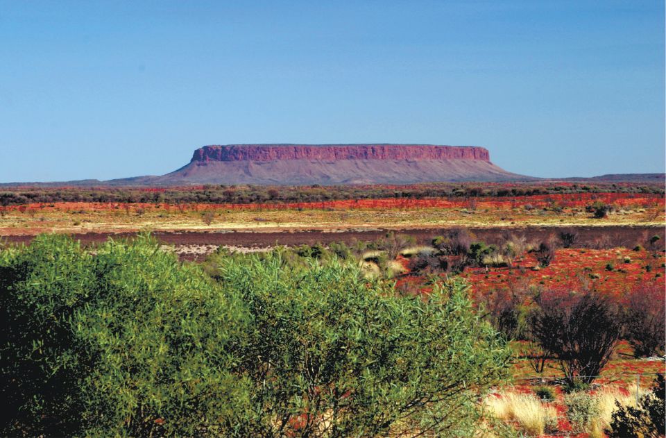 Ayers Rock To Kings Canyon Luxury Bus Transfers - Last Words