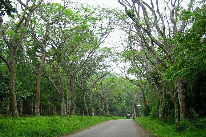 Ba Vi National Park Private Day Tour Sightseeings; Short Trekking - End Point