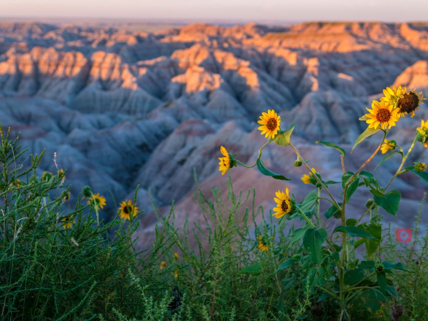 Black Hills & Badlands: Self-Guided Audio Driving Tours - Common questions