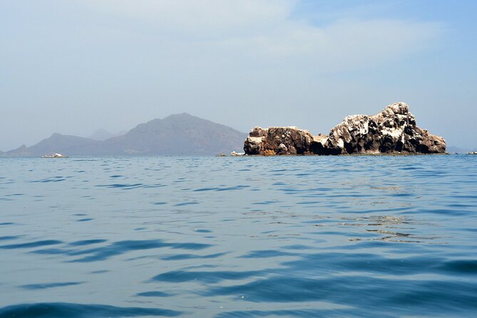 Boating Along the Coastline of San Carlos With a Marine Biologist - Snorkeling Adventures and Underwater Marvels