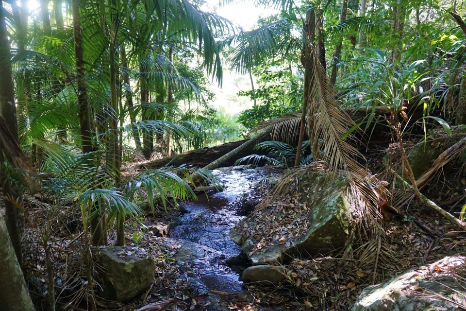 6 brisbane hop on hop off bus to tamborine mountain Brisbane: Hop on Hop off Bus to Tamborine Mountain