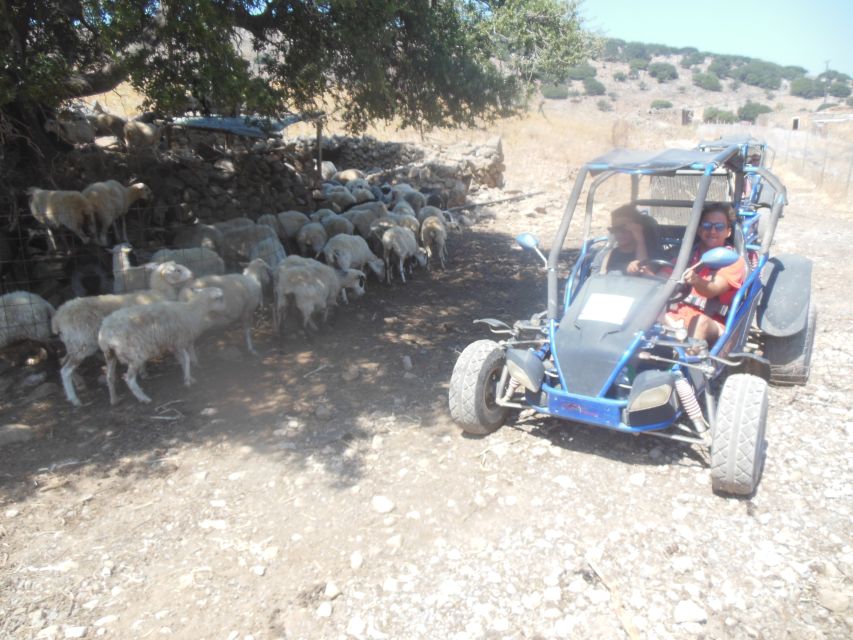 Buggy Safari Crete (Transfer and Lunch) Analipsi- Hersonisos - Important Information