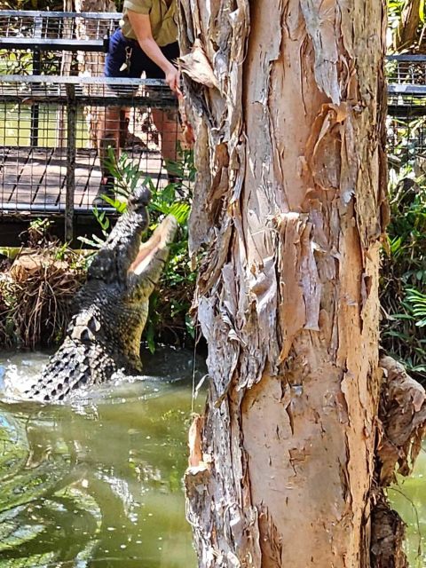 Cairns: Hartleys Crocodile Adventures Transfers and Return - Customer Review