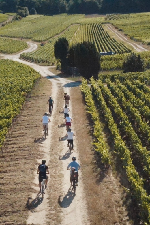 Champagne Region : Ebike Tour With a Local Guide ! - Winery Visit