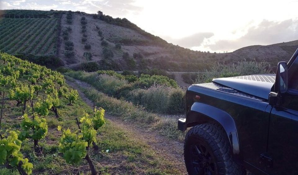 Chania Luxury Jeep Safaris: Wine & Olive Oil Tasting Secrets - Directions