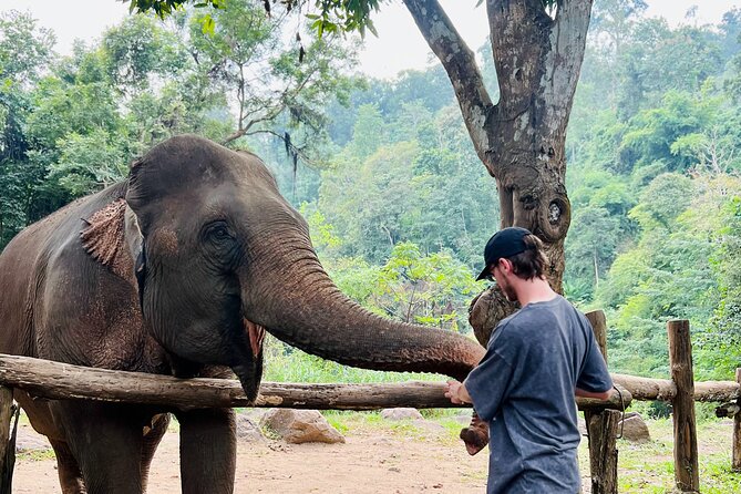 Chiangmai Half Day Package Tour- Waterfall, Tubing & Elephants - Traveler Reviews